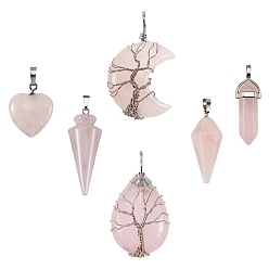 Rose Quartz 6Pcs 6 Style Natural Rose Quartz Pendants, with Platinum Tone Brass Findings, Mixed Shapes, 22~46x12~32x6~16mm, 1pc/style