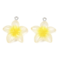 Желтый Прозрачные смоляные подвески, красный жасмин, с железными петлями и блестящей пудрой, желтые, 27.5x24.5x6 мм, отверстие : 2 мм