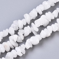 White Moonstone Natural White Moonstone Beads Strands, Chip, 5~15x3~10x1~7mm, Hole: 1mm, about  240~270pcs/Strand, 33.07~34.64 inch(84~88cm)