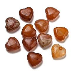 Red Agate Natural Red Agate Beads, Half Drilled, Heart, 14.5~15x15~15.5x7~7.5mm, Hole: 1.2mm