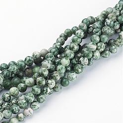 Pierre Avec Point Vert Perles en pierres gemme, tache verte jaspe, ronde, environ 8 mm de diamètre, trou: environ 1 mm, Environ 46 pcs/chapelet, 15~16 pouce