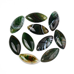 Натуральный Агат Натуральные бразильские агатовые кабошоны, окрашенные, лошадиный глаз , 40x19.5x5~6.5 мм