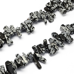 Snowflake Obsidian Natural Snowflake Obsidian Stone Bead Strands, Nuggets, 12~20x6~10x3~10mm, Hole: 1mm, about 104pcs/strand, 15.7 inch