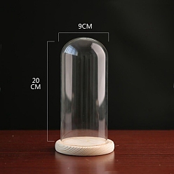 Прозрачный Стеклянный купол, декоративная витрина, колокол баночка террариум с деревянной основой, прозрачные, 90x200 мм