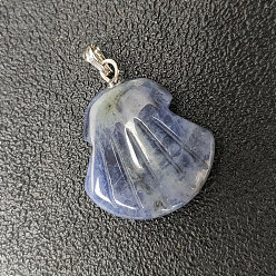 Sodalite Natural Sodalite Pendants, Shell Charms, with Platinum Plated Alloy Snap on Bails, 20x6mm