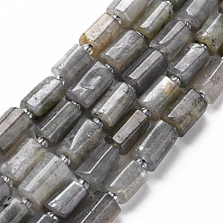 Labradorite Natural Labradorite Beads Strands, Faceted, Column, 8~11x6~8x5~7mm, Hole: 1mm, about 15~17pcs/strand, 7.28~7.48 inch
