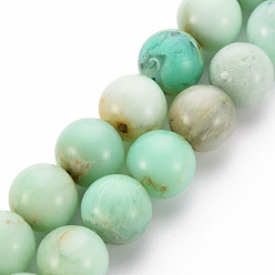 Australia Jade Natural Chrysoprase Beads Strands, Round, 10mm, Hole: 1mm, about 18~20pcs/strand, 7.4 inch