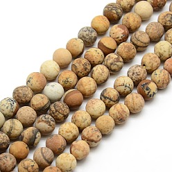 Picture Jasper Frosted Natural Picture Jasper Round Bead Strands, 8mm, Hole: 1mm, about 47~49pcs/strand, 14.9~15.6 inch