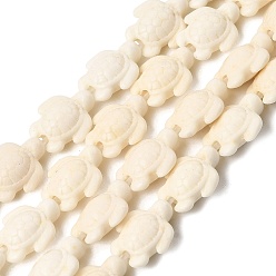 Кремово-белый Синтетических нитей бирюзовые бусы, черепаха, окрашенные, кремово-белые, 10~11x8~9x5 мм, отверстие : 1.5 мм, около 37 шт / нитка, 14.96'' (38 см)