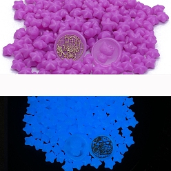 Dark Orchid Luminous Sealing Wax Particles, for Retro Seal Stamp, Star, Dark Orchid, Packing: 125x90mm