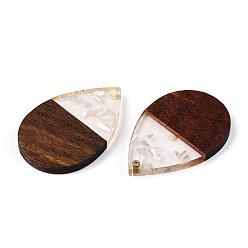 Морская Ракушка Подвески из прозрачной смолы и ореха, подвески-капли с ракушками, цвет морской раковины, 36.5x24.5x3 мм, отверстие : 2 мм