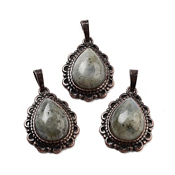 Лабрадорита Подвески из натурального лабрадорита в форме капли, подвески из латуни красного медного тона, 28.5x20.5x7 мм, отверстие : 8x5 мм