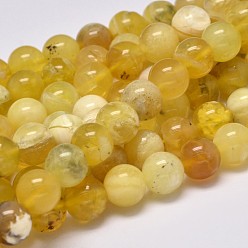 Yellow Opal Natural Yellow Opal Round Bead Strands, 8mm, Hole: 1mm, about 48pcs/strand, 15.5 inch