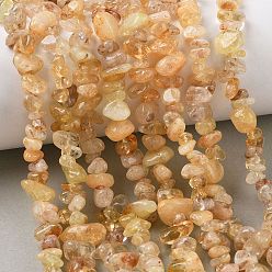 Citrine Natural Citrine Beads Strands, Chip, Heated, 4~12mm, Hole: 0.6mm, 30.71''(78cm)~31.26''(79.4cm)