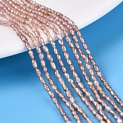 Old Rose Natural Cultured Freshwater Pearl Beads Strands, Rice, Old Rose, 2.5~4.5x1.5~2.5mm, Hole: 0.5mm, about 79~81pcs/strand, 13.78 inch(35cm)