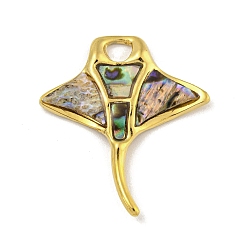 Plaqué 18K Or Véritable Placage ionique (ip) 304 pendentifs en coquillage paua pavé en acier inoxydable, charmes de poissons, réel 18 k plaqué or, 29x26x2.5mm, Trou: 4x3.5mm