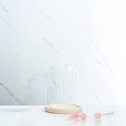 Прозрачный Стеклянный купол, декоративная витрина, колокол баночка террариум с деревянной основой, для подарка своими руками сохраненного цветка, прозрачные, 120x180 мм