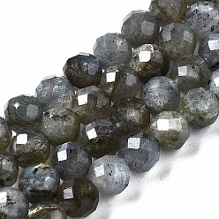 Labradorite Natural Labradorite Beads Strands, Faceted, Round, 6.5mm, Hole: 1mm, about 63~64pcs/strand, 15.08 inch~15.28 inch(38.3cm~38.8cm)
