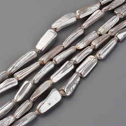 Gainsboro Spray Painted Natural Freshwater Shell Beads Strands, Shell Shards, Nugget Stick, Gainsboro, 15~20x5~13x3~10mm, Hole: 0.8mm, about 23pcs/strand, 15.35 inch~17.32 inch(39~44cm)