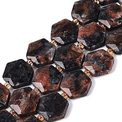 Labradorite Chapelets de perles labradorite naturelle , hexagone facettes, avec des perles de rocaille, 11.5~12.5x13~14x4~5.5mm, Trou: 1~1.2mm, Environ 26~28 pcs/chapelet, 14.37~15.75 pouce (36.5~40 cm)