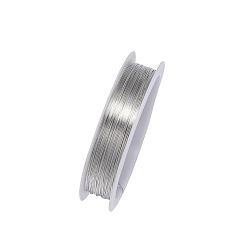 Platinum Round Copper Wire, for Jewelry Making, Platinum, 29 Gauge(0.3mm), 0.3mm, about 49.21 Feet(15m)/Roll