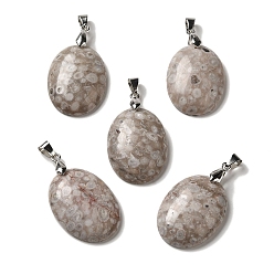 Маифанит Подвески из натурального майфанита, овальные подвески со стойкой, латунные кнопки с платиновым покрытием, защелки на дужках, 30x21.5~22x6~6.5 мм, отверстие : 6x4 мм