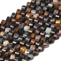 Петерсит Натуральные пиеттеритные бусины, граненые, твист, 6~6.5x5x5 мм, отверстие : 1 мм, около 58~61 шт / нитка, 14.17''~14.69'' (36~37.3 см)