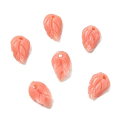 Pink Синтетические подвески в виде листьев, окрашенные в коралловый цвет, розовые, 11x7x2.5 мм, отверстие : 1.2 мм