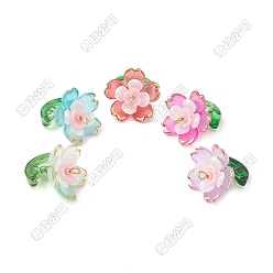 (52) Непрозрачная лаванда 30шт 5 цветные подвески из прозрачного акрила, со стеклянными бисеринами, цветок, золотой металл обвитыми, разноцветные, 20.5x18x18.5 мм, отверстие : 1.8 мм