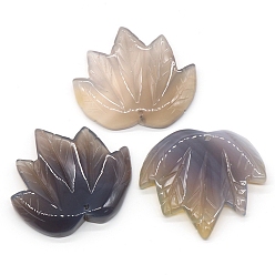 Grey Agate Natural Grey Agate Autumn Maple Leaf Pendants, Leaf Charms, 43x47~53x7mm, Hole: 2mm