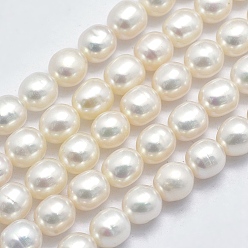 Floral White Natural Cultured Freshwater Pearl Beads Strands, Oval, Floral White, 6.5~7x5.5~6mm, Hole: 0.8mm, about 44pcs/strand, 14.17 inch(36cm)