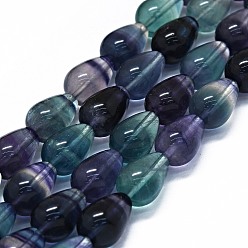 Fluorite Natural Fluorite Beads Strands, Teardrop, 14x10mm, Hole: 0.8mm, about 28pcs/strand, 15.94 inch(40.5cm)