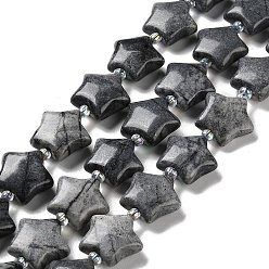 Netstone Brins de perles en pierre de soie noire naturelle / netstone, avec des perles de rocaille, étoiles, 14~15.5x15~16x6.5~7mm, Trou: 1mm, Environ 24~25 pcs/chapelet, 15.55''~15.95'' (39.5~40.5 cm)