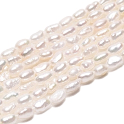 Creamy White Natural Cultured Freshwater Pearl Beads Strands, Two Sides Polished, Creamy White, 2.5~4.5x2~3x1.5~2.5mm, Hole: 0.5mm, about 92~96pcs/strand, 13.98~14.37 inch(35.5~36.5cm)