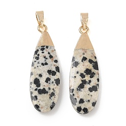 Dalmatian Jasper Natural Dalmatian Jasper Pendants, Faceted Teardrop Charms, with Brass Finding, 31.5~32.5x9.5~10x3.5~4mm, Hole: 5.5x3mm