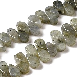 Labradorite Chapelets de perles labradorite naturelle , larme, top foré, 9~10x5~5.5x3.5~4mm, Trou: 0.7mm, Environ 40~48 pcs/chapelet, 7.09~7.28'' (18~18.5 cm).