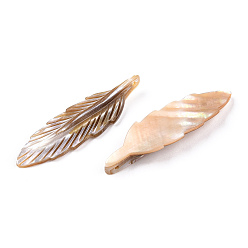 Saddle Brown Natural Freshwater Shell Pendants, Leaf, Sandy Brown, 43~45x12~13x4~5mm, Hole: 1.2mm
