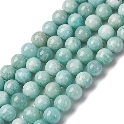 Амазонит Природных амазонит бисер нитей, круглые, 8 мм, отверстие : 1 мм, около 50 шт / нитка, 15.55'' (39.5 см)