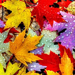 Colorful Autumn Maple Leaf Pattern 5D Diamond Painting Kits for Adult Beginners, DIY Full Round Drill Picture Art, Rhinestone Gem Paint Kits for Home Wall Decor, Colorful, 300x300mm