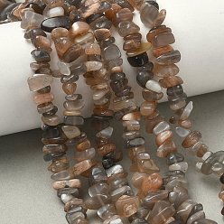 Multi-Moonstone Нити натуральных бусин из нескольких лунных камней, 8~13x6~8x3~5 мм, отверстие : 0.5~0.6 мм, 29.92~30.71'' (76~78 см)