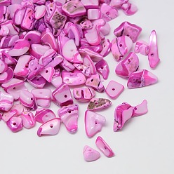 Magenta Dyed Natural Freshwater Shell Chips Beads, Shell Shards, Magenta, 9~12x6~15mm, Hole: 1mm, about 900pcs/500g