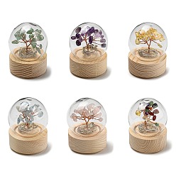 Mixed Stone LED Glass Crystal Ball Ornament, with Natural Gemstone Chips Money Tree inside, Reiki Energy Stone Desktop Office Table Decor, 52x65mm