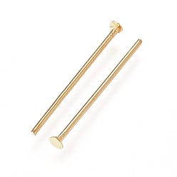 Golden 304 Stainless Steel Flat Head Pins, Golden, 15.3x0.6mm, 22 Gauge, Head: 1.4mm