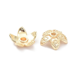 Настоящее золото 14K Латунь 5 -лепестковые колпачки для бусинок, долговечный, цветок, реальный 14 k позолоченный, 8x3 мм, отверстие : 1.2 мм