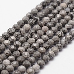 Map Stone Natural Map Stone/Picasso Stone/Picasso Jasper Beads Strands, Faceted, Round, Gray, 4mm, Hole: 1mm, about 96pcs/strand, 14.9 inch~15.1 inch