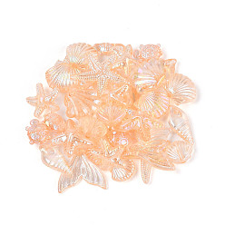 Сэнди Коричневый Прозрачные акриловые бусины с океанской тематикой, разнообразные, песчаный коричневый, 10~20x5.5~23x2.5~9 мм, отверстие : 1.5~1.8 мм, Около 1272 шт / 500 г