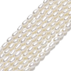 Lin Brins de perles de culture d'eau douce naturelles, riz, linge, 3~4x2.5~3mm, Trou: 0.5mm, Environ 95~97 pcs/chapelet, 14.96''~15.15" (38~38.5 cm)