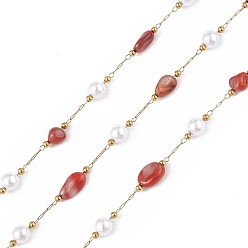 Red Agate Pépite d'agate rouge naturelle & chaîne de perles imitation verre, avec chaînes satellites dorées 304 en acier inoxydable, non soudée, avec bobine, 5~12x4~8x4~7mm, 6x5mm, 2.5x2mm, environ 32.81 pieds (10 m)/rouleau