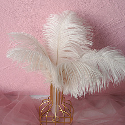 WhiteSmoke Ostrich Feather Ornament Accessories, for DIY Costume, Hair Accessories, Backdrop Craft, WhiteSmoke, 200~250mm