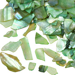 Sea Green Natural Abalone/Paua Shell Mica Fragment, Nail Art Decorations, Shell Mica Slices, Dyed, Sea Green, 1~20x1~15x0.5mm